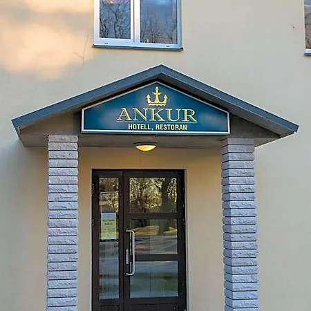 Ankur 3* Mustvee
