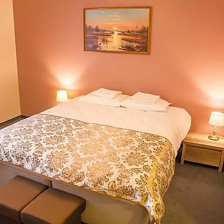 Ankur Hotel Mustvee