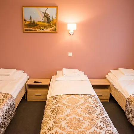 Hotel Ankur 3*