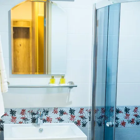 Ankur Hotel 3*