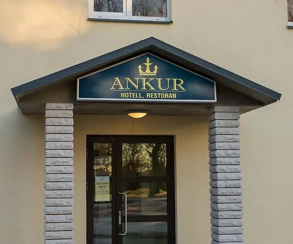 Ankur Hotel Mustvee